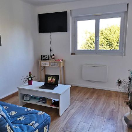 Le Mabileau Apartman Saumur Kültér fotó